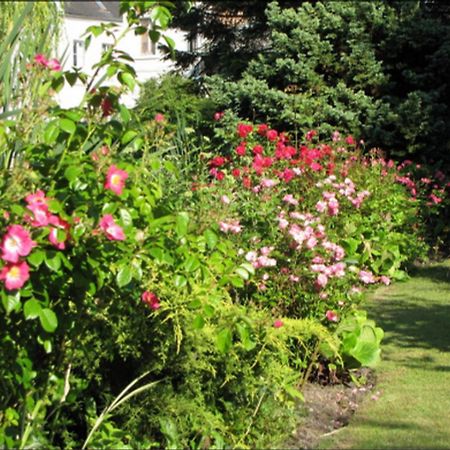 Bed and Breakfast Au Jardin des Deux Ponts Abbeville Exterior foto