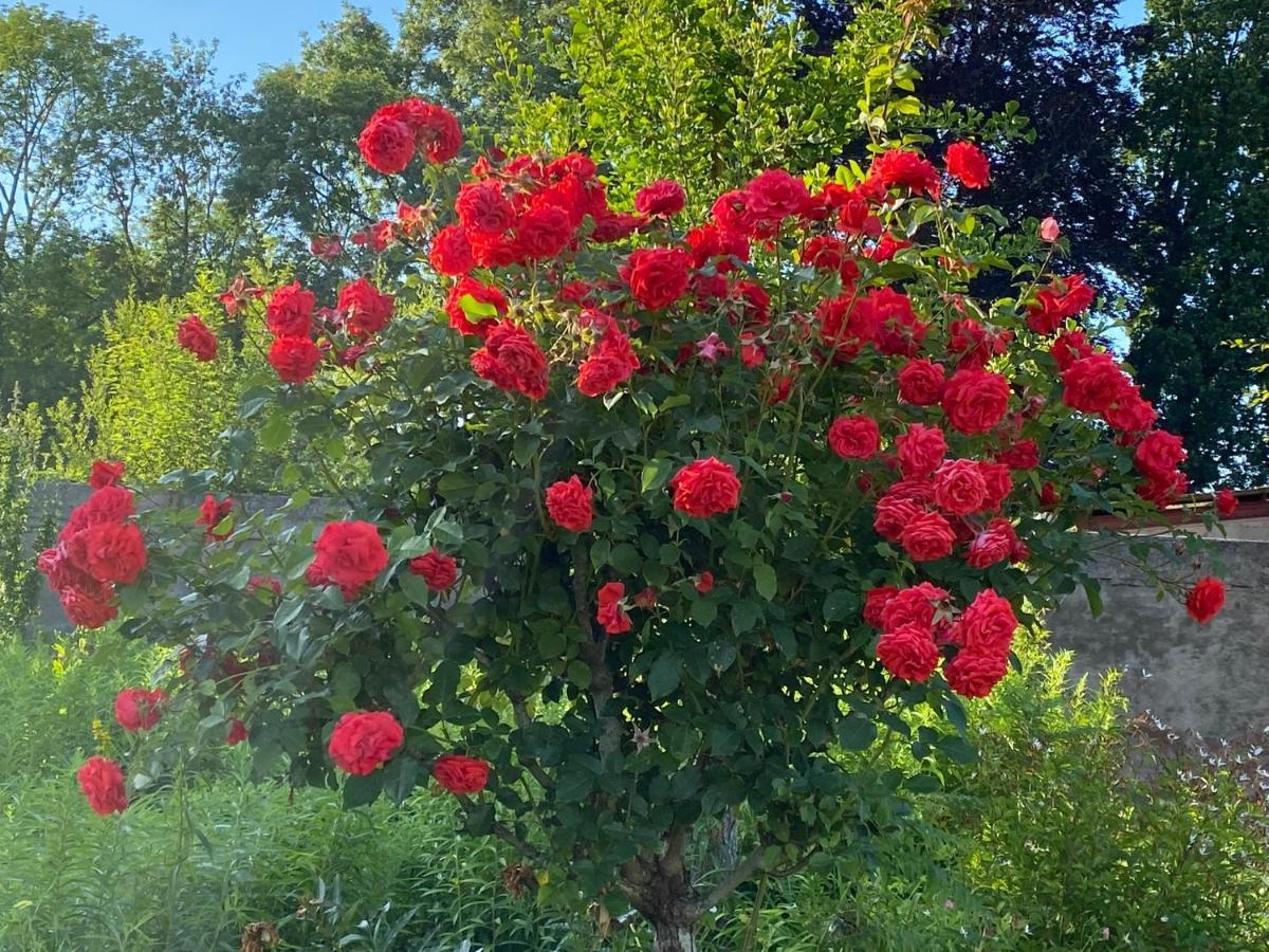 Bed and Breakfast Au Jardin des Deux Ponts Abbeville Exterior foto