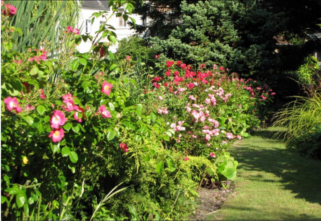 Bed and Breakfast Au Jardin des Deux Ponts Abbeville Exterior foto